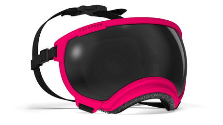 hundebrille in farbe pink mit dunkler scheibe