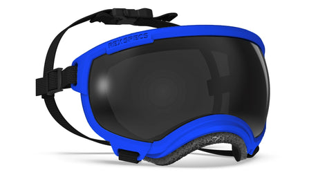 rex specs hundebrille in größe s in farbe balkan blue