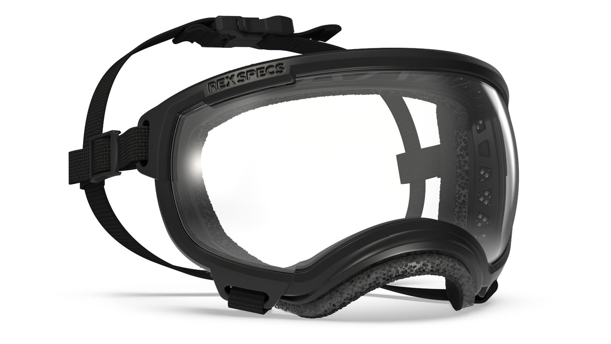 rex specs hundebrille größe s farbe schwarz klare scheibe 