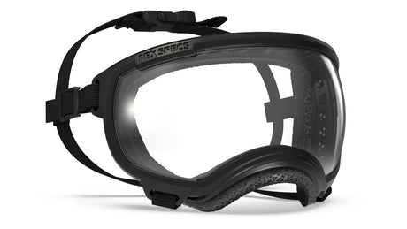 rex specs hundebrille größe s farbe schwarz klare scheibe 