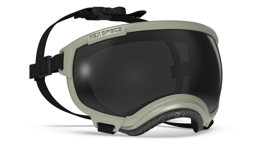 Rex Specs Vorführbrille V2