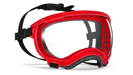 hundebrille rex specs farbe rot größe s
