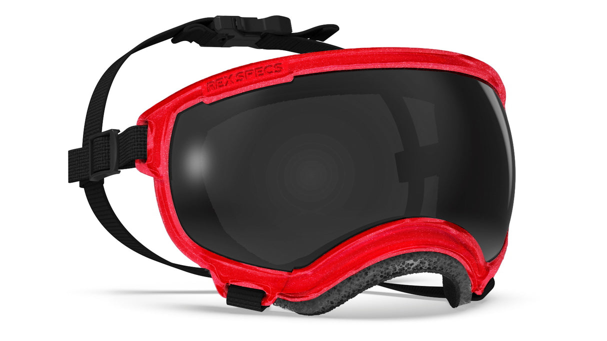 hundebrille rex specs größe s farbe rot metallic