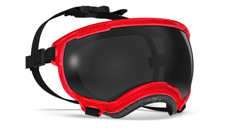 hundebrille rex specs größe s farbe rot metallic