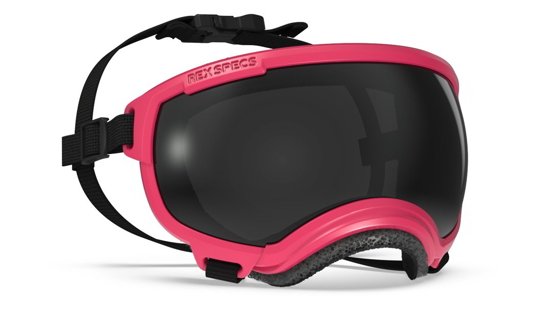 Rex Specs Vorführbrille V2