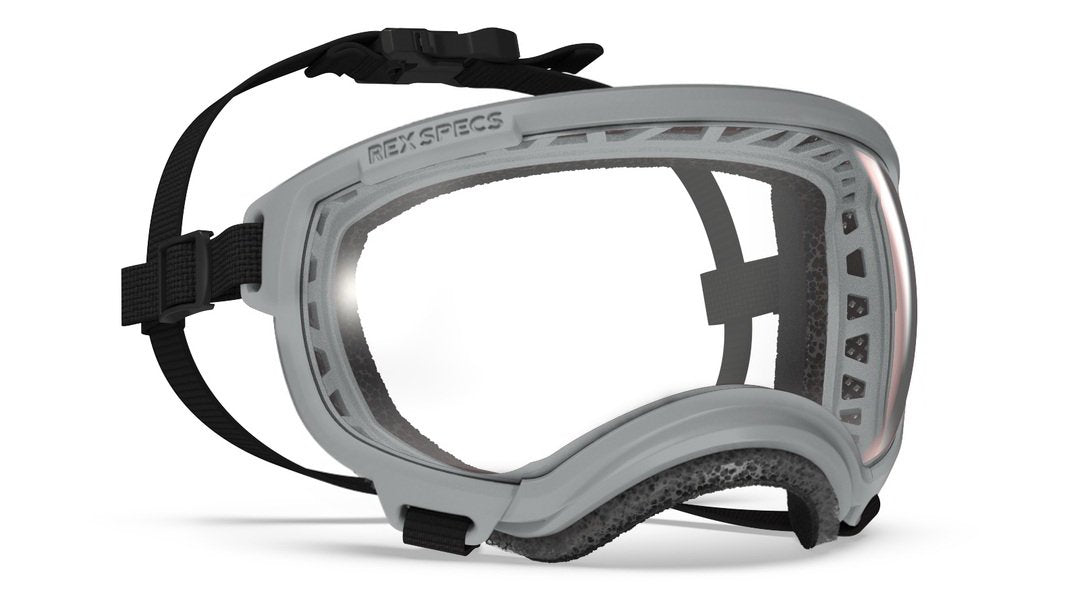 Rex Specs Vorführbrille V2