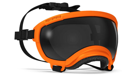 rex specs hundebrille farbe orange mit dunkler scheibe
