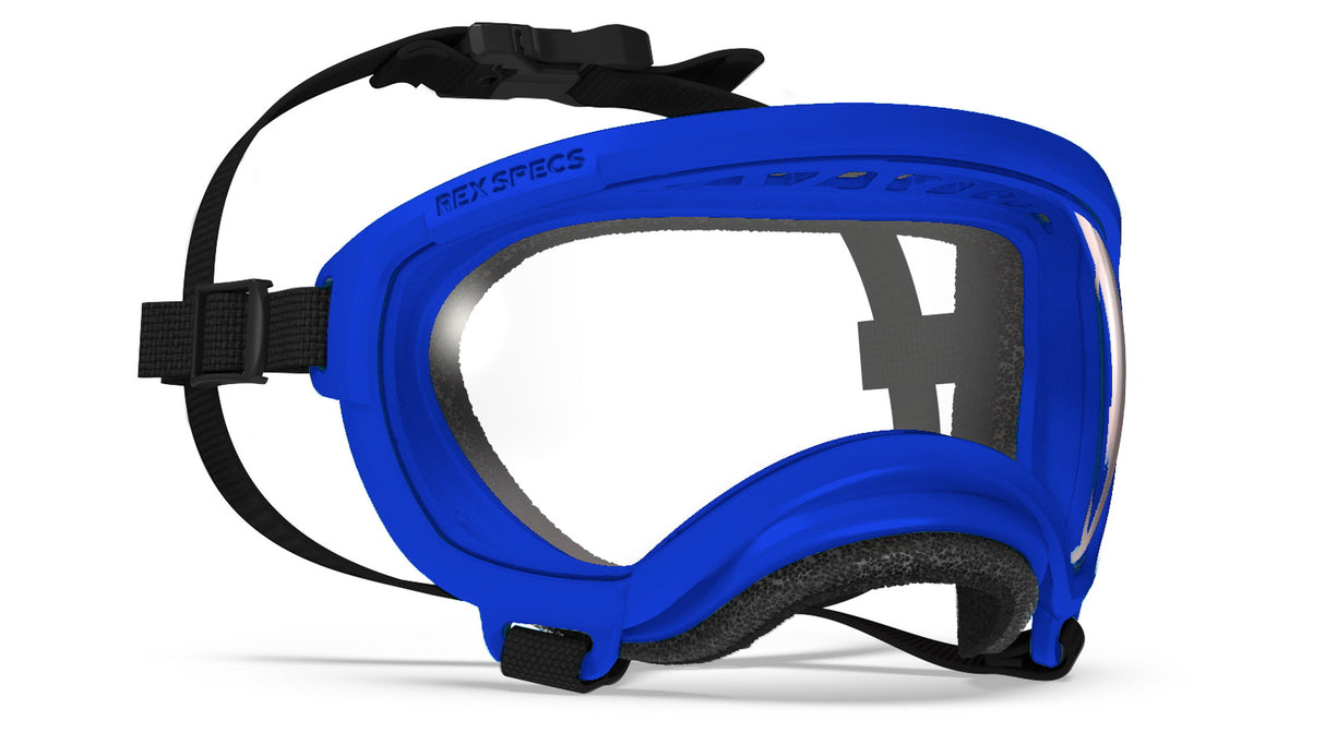 hundebrille rex specs größe xs, farbe balkan blue
