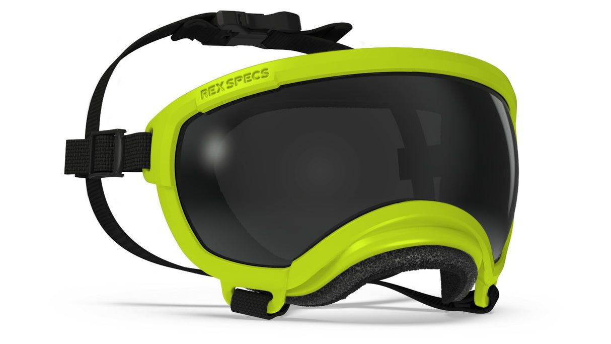 Hundebrille Rex Specs V2 Größe XS