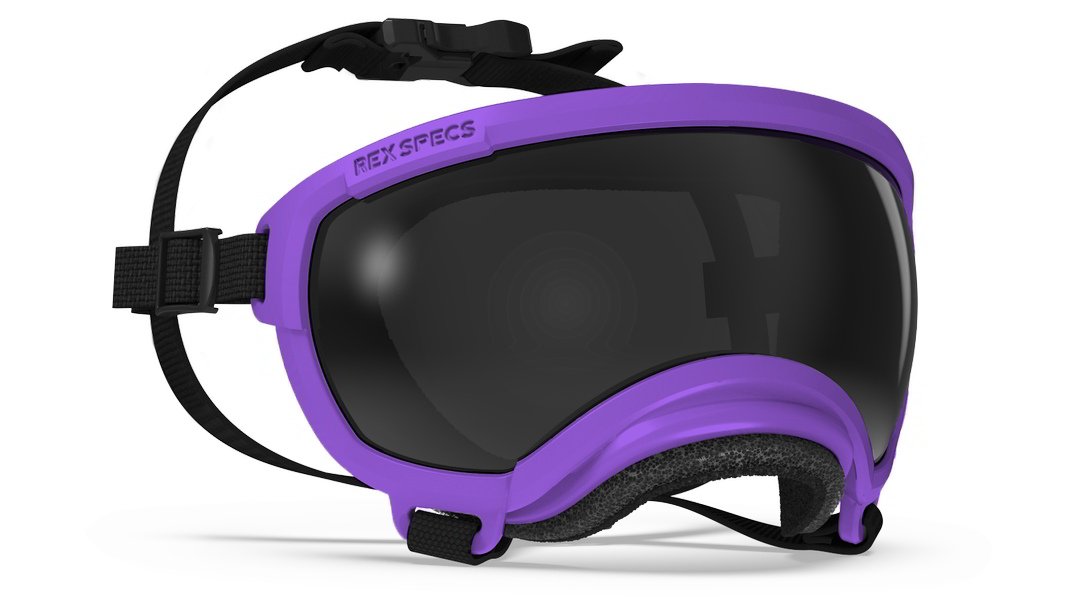 Rex Specs Vorführbrille V2