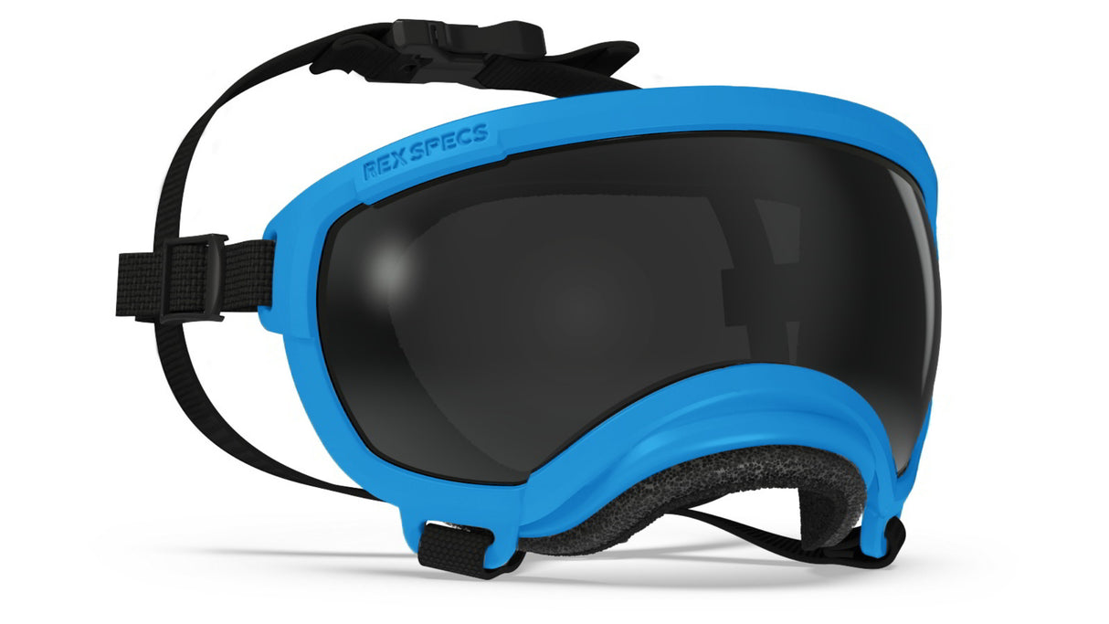 Hundebrille Rex Specs V2 Größe XS