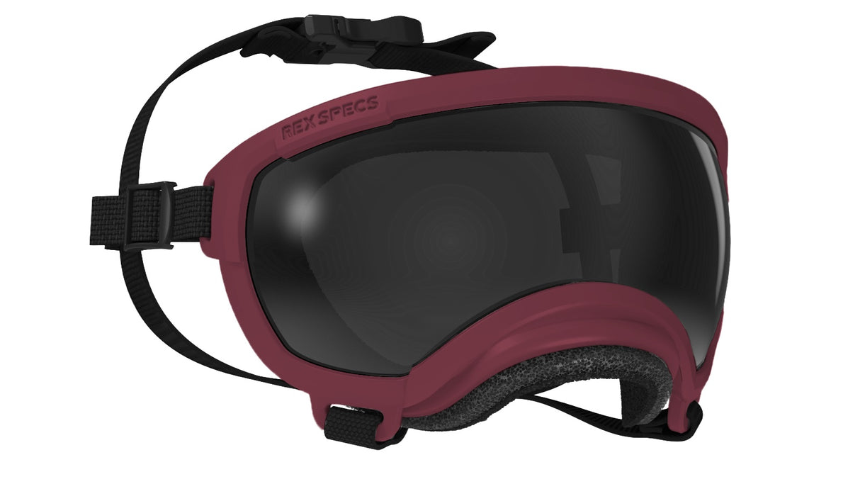 Hundebrille Rex Specs V2 Größe XS