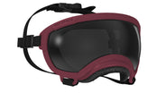 Hundebrille Rex Specs V2 Größe XS