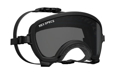 produktbild rex specs hundebrille größe s-wide