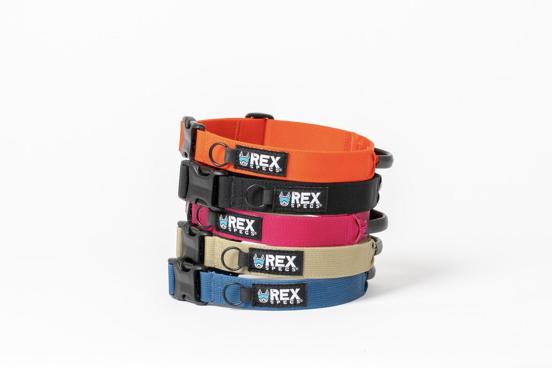 Hundehalsband Trailhead Collar