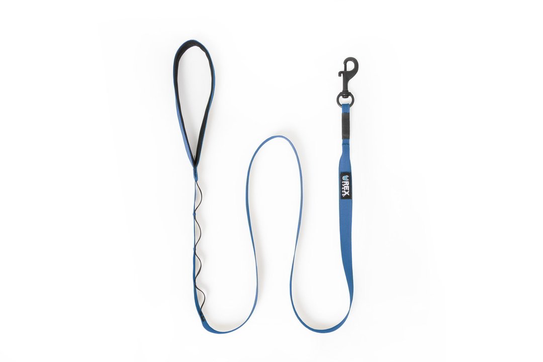 Rex Specs Trailhead Leash Single, vielseitige Hundeleine