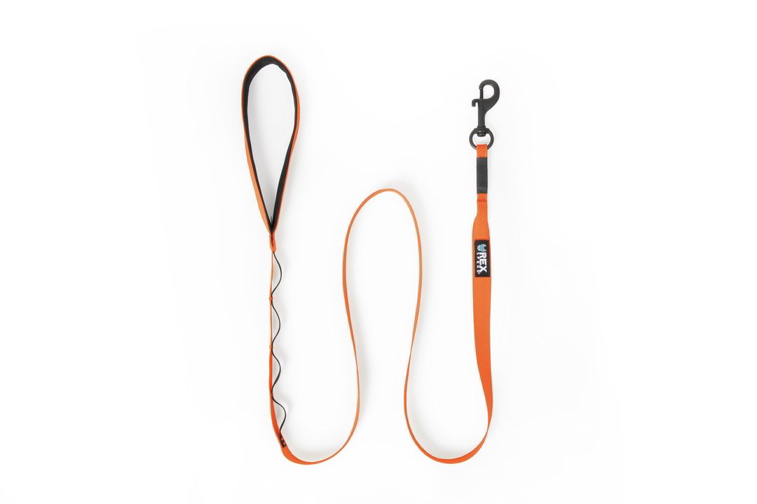 Rex Specs Trailhead Leash Single, vielseitige Hundeleine