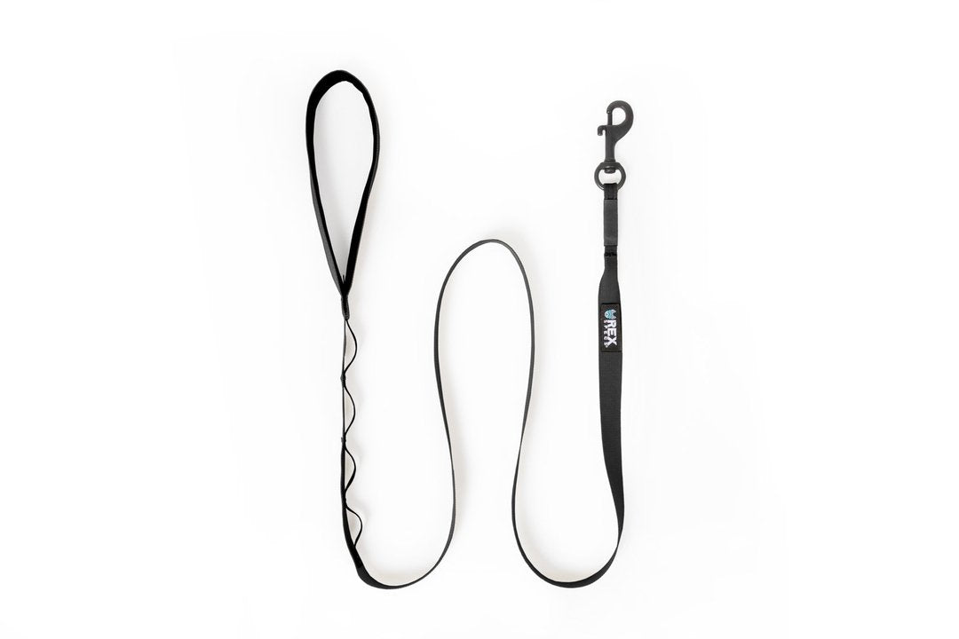 Rex Specs Trailhead Leash Single, vielseitige Hundeleine