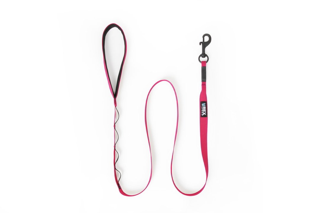 Rex Specs Trailhead Leash Single, vielseitige Hundeleine