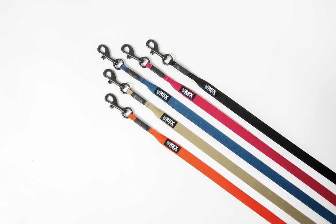 Rex Specs Trailhead Leash Single, vielseitige Hundeleine