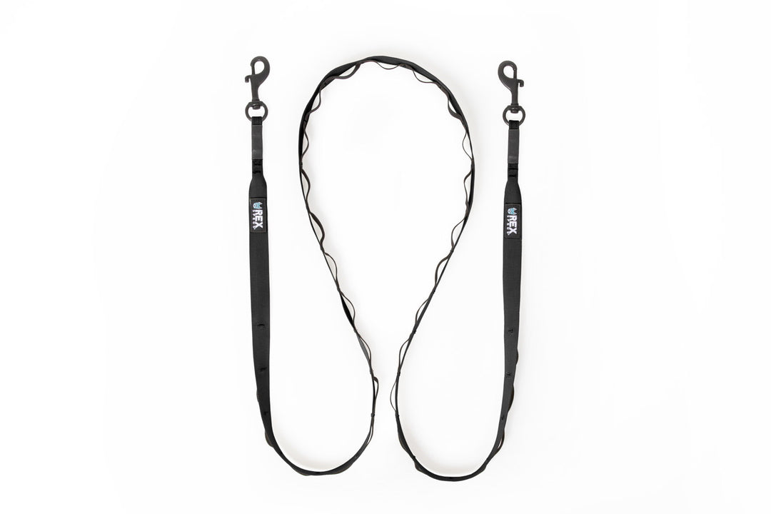 Rex Specs Trailhead Leash Dual Snap