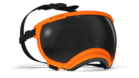 hundebrille von rex specs in farbe orange größe xl mit dunkler scheibe