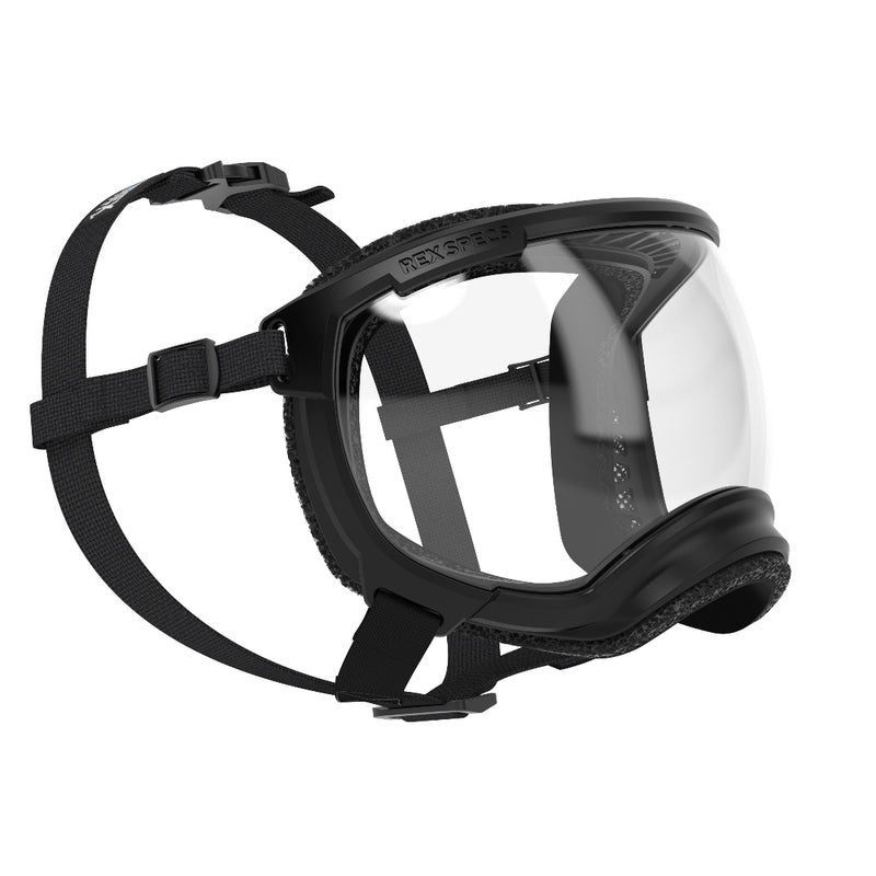 seitliche ansicht der hundebrille von rex specs