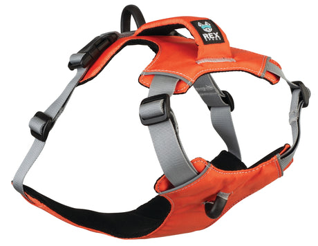 Hundegeschirr der Marke Rex Specs in de Farbe Orange