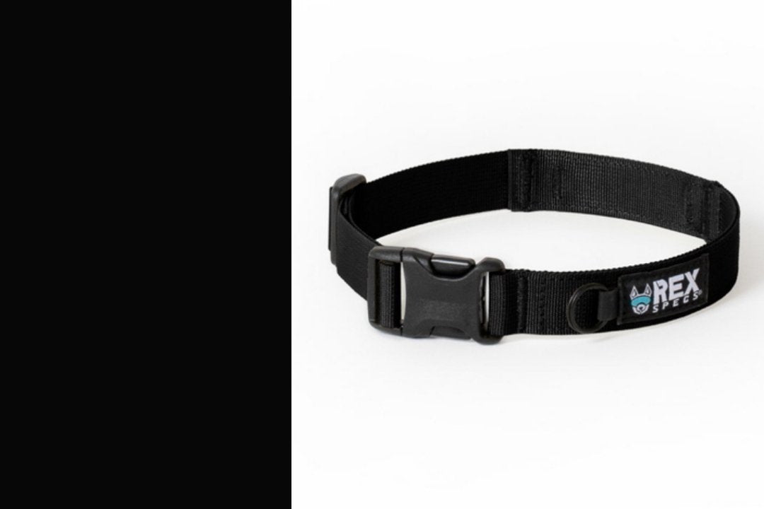 Hundehalsband Trailhead Collar