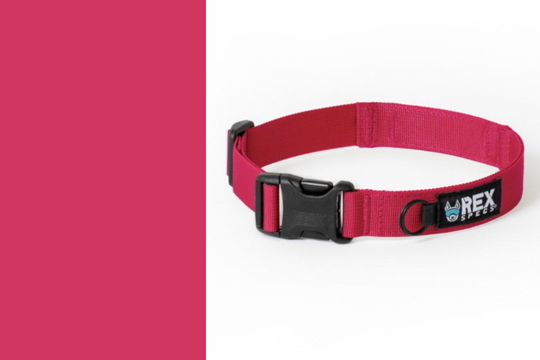 Hundehalsband Trailhead Collar