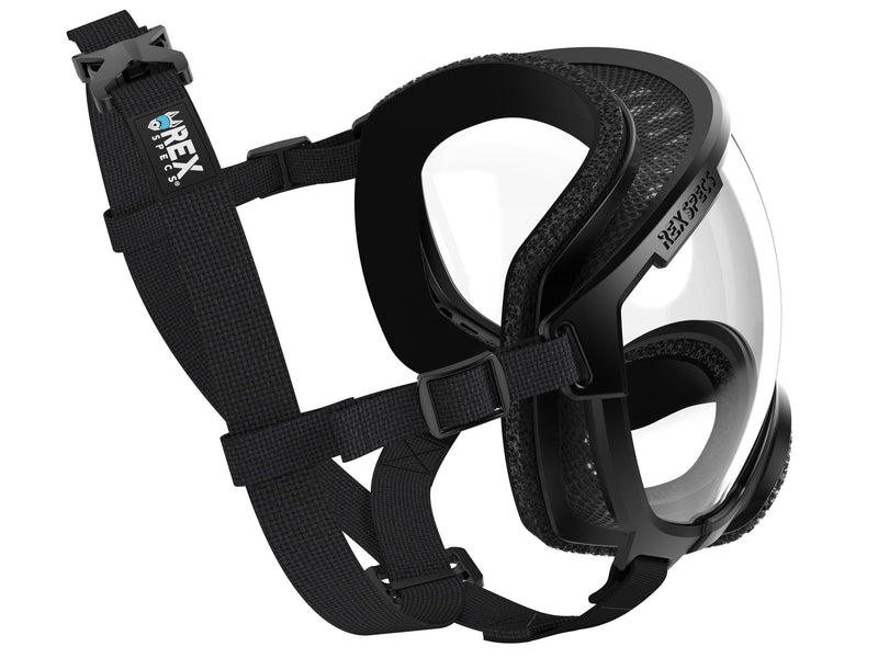 hundebrille von rex specs in der Draufsicht