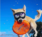 Rex Specs Lens Wraps V2