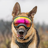 Rex Specs V2 Size XL