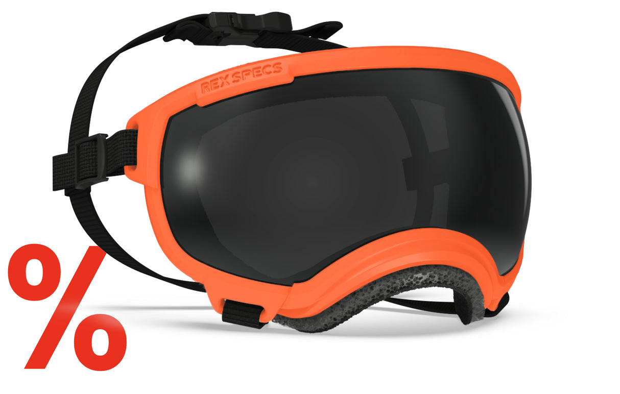 Hundebrille Rex Specs V2 Größe S