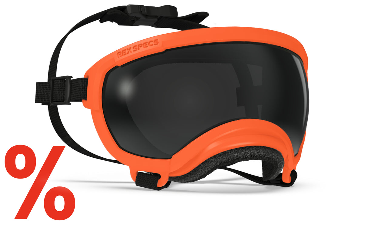Hundebrille Rex Specs V2 Größe XS