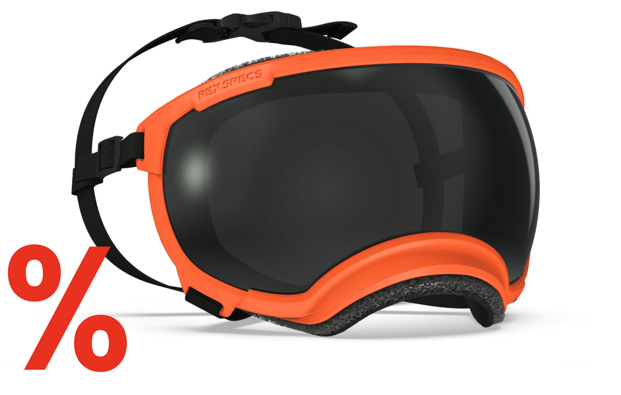Hundebrille Rex Specs V2 Größe XL