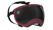 Hundebrille Rex Specs V2 Größe M
