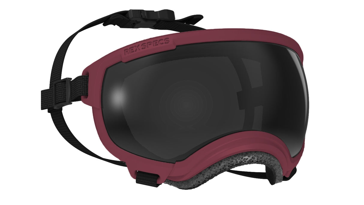 Hundebrille Rex Specs V2 Größe S