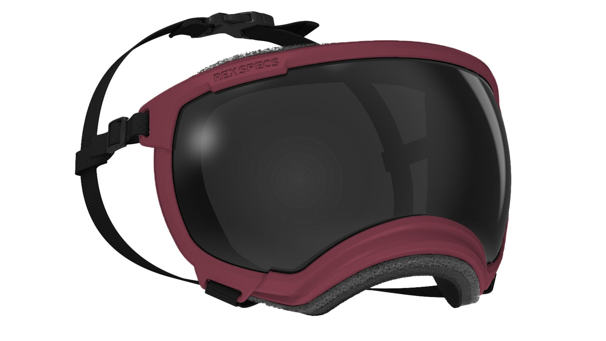 Rex Specs V2 Size XL