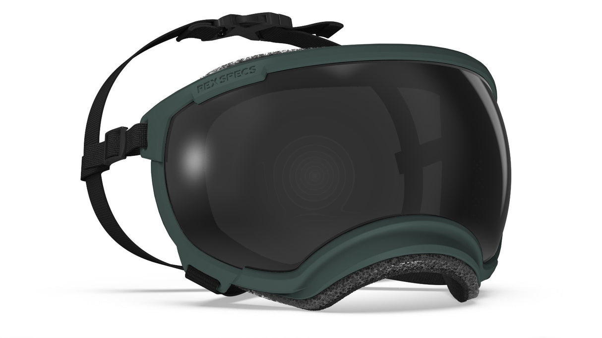 Hundebrille Rex Specs V2 Größe L