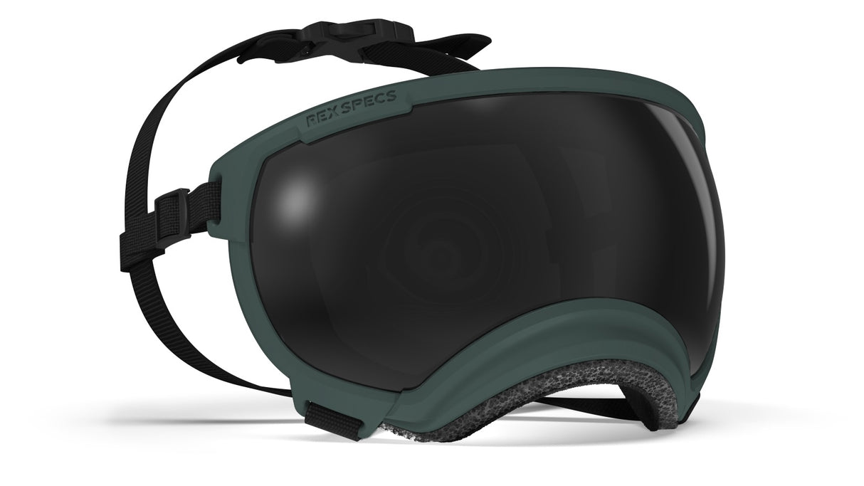 Hundebrille Rex Specs V2 Größe M