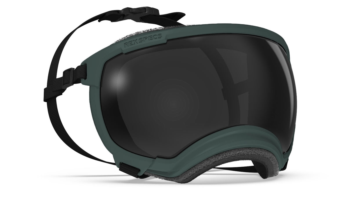 Rex Specs V2 Size XL