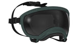 Hundebrille Rex Specs V2 Größe XS