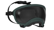 Hundebrille Rex Specs V2 Größe XS