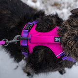 Rex Specs Trailhead Harness Hundegeschirr