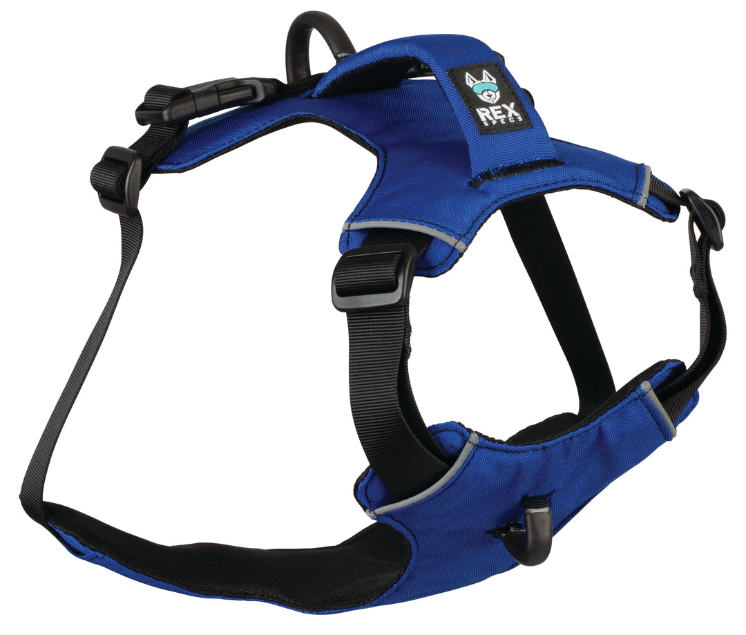 Hundegeschirr Trailhead der Marke Rex Specs in de Farbe Blau