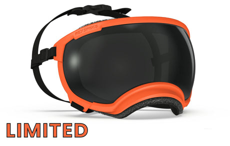 rex specs hundebrille in farbe blaze orange größe xl