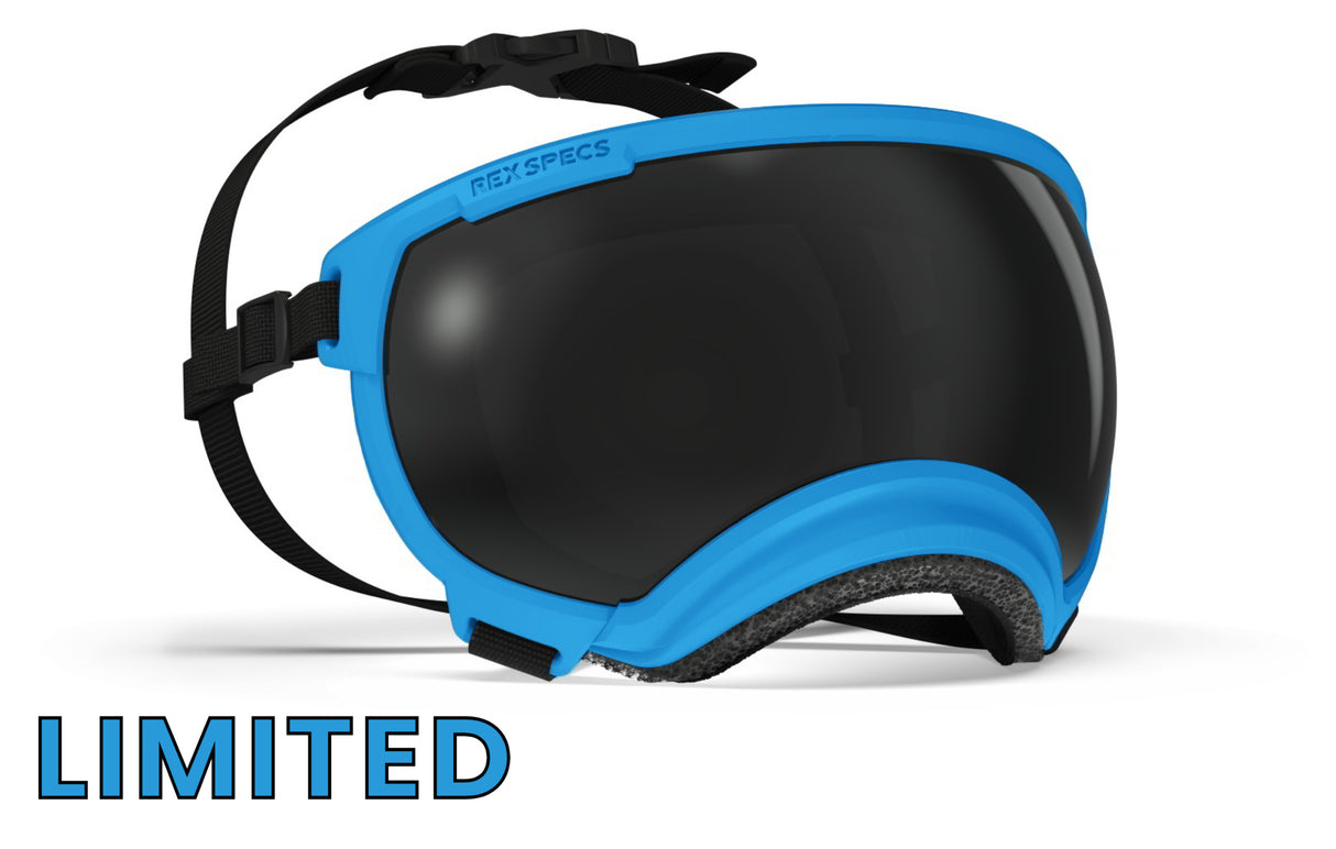 Hundebrille Rex Specs V2 Größe M