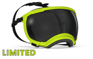 hundebrille von rex specs in limitierter farbe electric lime größe xl