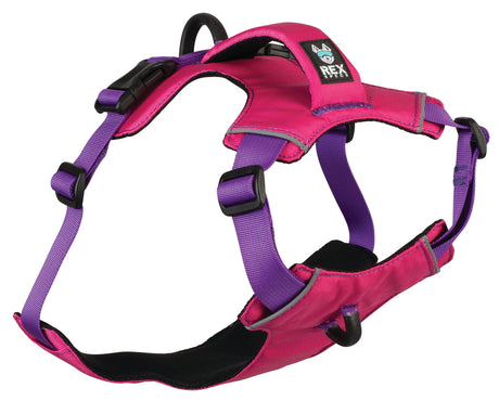 Hundegeschirr der Marke Rex Specs in de Farbe Pink